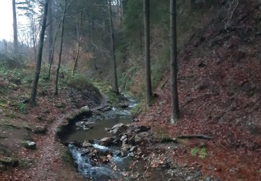 Tocht Stappen Stavelot - Francorchamps roannay rive gauche - Ruy retour rive droite - Photo