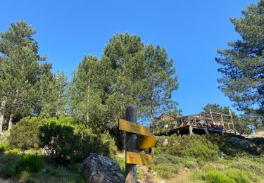 Trail Walking Quenza - Refuge Aline Paliri - Photo