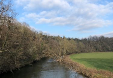 Excursión Senderismo Rochefort - Tour de 9km au départ du Château  - Photo