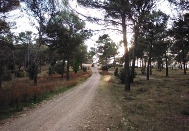 Percorso Marcia L'Isle-sur-la-Sorgue - pernes les icards les mechans les gipieres - Photo