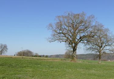 Trail On foot Glonn - Wanderweg 2, Glonn - Photo