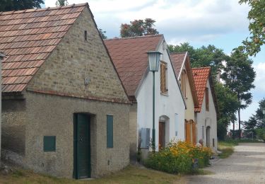 Trail On foot Berg - Rundwanderweg Königswarte-Hindlerberg - Photo