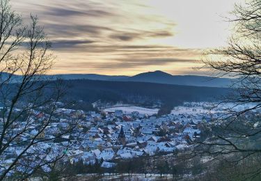 Trail On foot Rosheim - Circuit du Vignoble - Photo