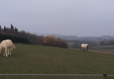 Trail Walking Saint-Lager-Bressac - St Lager de Bressac 7km - Photo