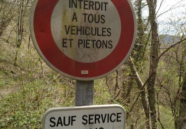 Tour Wandern Saint-Paul-de-Varces - Rando ANF - Le Pieu  - Photo