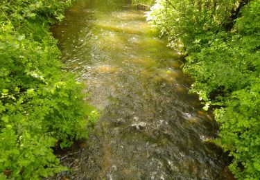 Tour Wandern Thiré - thire - Photo