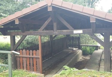 Tour Wandern Rimbachzell - mp Rimbachzell 2019 - Photo