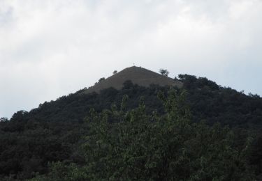 Percorso A piedi Nagybörzsöny - P+ (Kisirtáspuszta - Márianosztra) - Photo