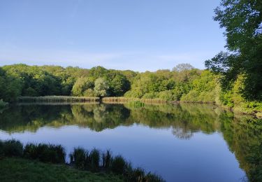 Tour Wandern Vélizy-Villacoublay - Ville d'Avray depuis Vélizy - Photo