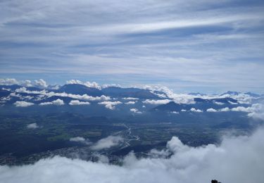 Tocht Stappen Lans-en-Vercors - moucherottes march'ettes 2022 - Photo