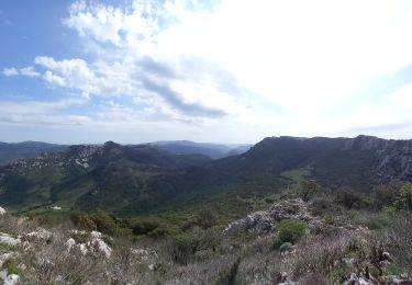 Tour Wandern Saint-Paul-de-Fenouillet - Le pech d Auroux par le pla de Brézou - Photo