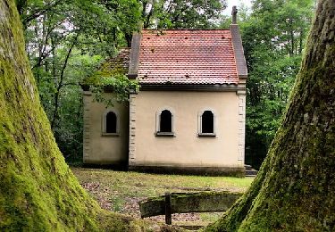 Tour Wandern Kestenholz - Boucle départ D1059 chemin du Heiderbuehl, Chapelle de l'Aigle - Photo