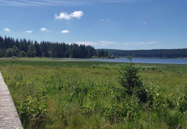 Tour Wandern Monts-de-Randon - 2025\27 06\ Lac charpal  - Photo