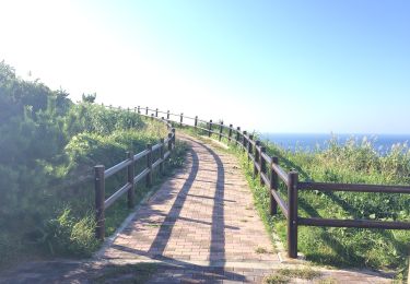 Trail On foot  - 秩父山ハイキングコース - Photo