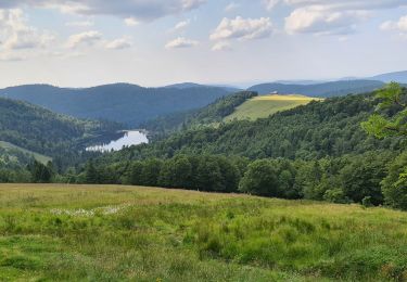 Tour Wandern Woll - La Bresse - Breitzhousen - source de la Moselotte - lac de La Lande - Photo