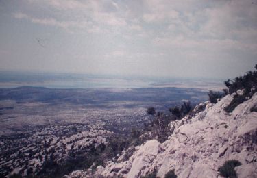 Tour Zu Fuß  - Mali Alan - Dušice - Photo