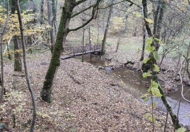 Percorso A piedi Kirchberg an der Murr - Kirchberg - Winnenden - Photo