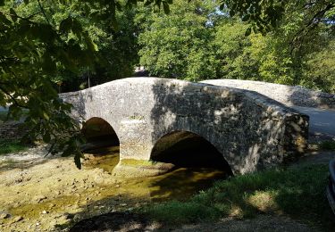 Trail Walking Baume-les-Messieurs - Le tour du Cirque de Baume-les-Messieurs - Photo