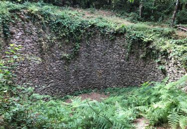 Excursión Senderismo Laroque-des-Albères - Laroque des Alberes 23 06 2021 - Photo