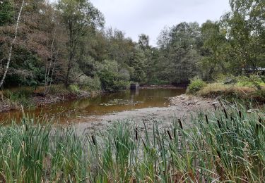 Excursión Senderismo Spa - grand tour de la fagne de Malchamps - Photo