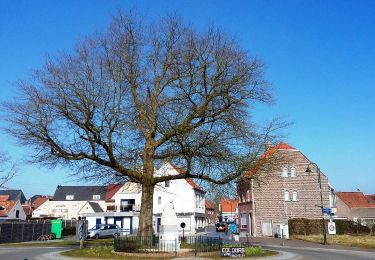 Tour Zu Fuß Zulte - Roger Raveelroute - Photo