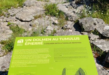 Trail Walking Labeaume - reco 22-Circuit des dolmens/Labeaume  - Photo