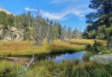 Excursión Senderismo Les Angles - Boucle depuis lac de Balcere vers Estany de l'Esparver - Photo