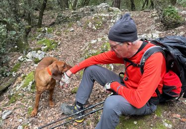 Trail Walking Le Broc - Le Broc-Bouyon fait - Photo