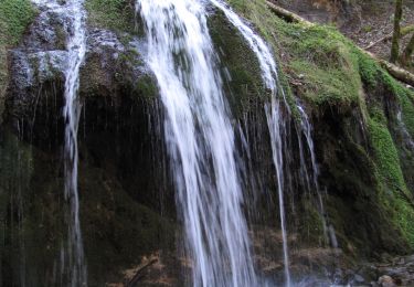 Percorso Marcia Vauclusotte - Rocher du Boubet et Grottes de Waroly - Photo