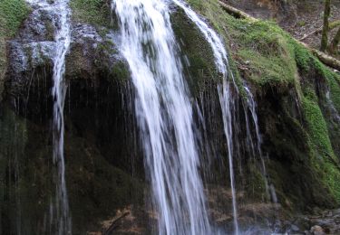 Tocht Stappen Vauclusotte - Rocher du Boubet et Grottes de Waroly - Photo