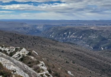 Tour Wandern Brissac - Roc blanc  - Photo