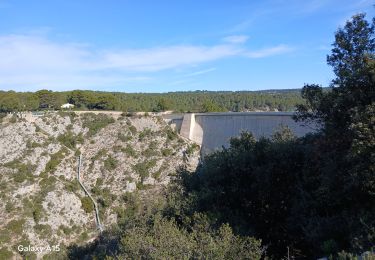 Trail Walking Beaurecueil - Barrage du Bimont et barrage Zola  - Photo