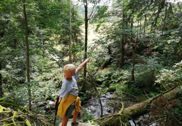 Trail Walking Le Hohwald - cascade de Hohwald - Photo