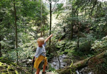 Randonnée Marche Le Hohwald - cascade de Hohwald - Photo