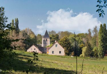 Percorso Marcia Sablons sur Huisne - Le Bois de Condeau 9.4 Km - Photo