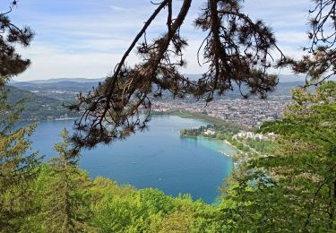 Trail Walking Annecy - 09-05-21 Annecy- pre vernet - Photo