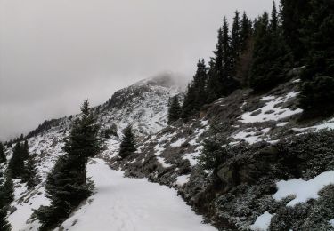 Tour Zu Fuß Sterzing - Ridnauner Höhenweg - Photo