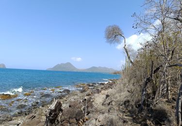 Tour Wandern Le Diamant - le Diamant de Taupinière vers O'mulane bas. - Photo