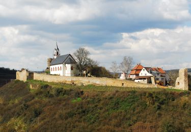 Excursión A pie Neu-Bamberg - Küstenweg 1: Rundweg Siefersheim - Wöllstein - Neubamberg - Photo