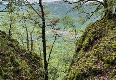 Tour Wandern Mouthier-Haute-Pierre - Mouthiers Haute Pierre / lods - Photo