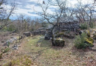 Tour Wandern Blauvac - Les Charbonnières Pié Gros - Photo