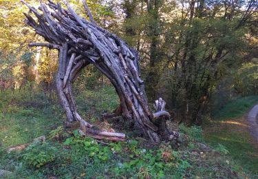 Tour Wandern Saint-Vit - St Vit le bois d'ambre  - Photo