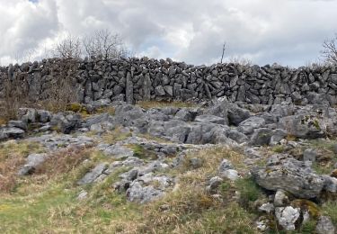 Percorso Marcia West Clare Municipal District - Burren - the blue and white trains - Photo