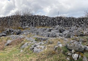 Randonnée Marche West Clare Municipal District - Burren - the blue and white trains - Photo