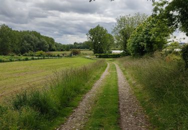 Excursión Senderismo Saint-Suliac - belle randonnée depuis suliac vers le mont Garros retour vers suliac  par le chemin côtier ensuite faire le tour de la presqu'île pour revenir à suliac attention 2eme partie du chemin ne pas le faire  a un coefficient  haut  très agréable a faire - Photo