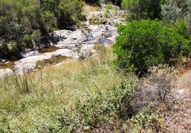 Trail Walking Collobrières - Cuves de Boulin - Photo