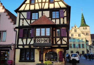 Tocht Stappen Turckheim - autour de Turckheim - Photo