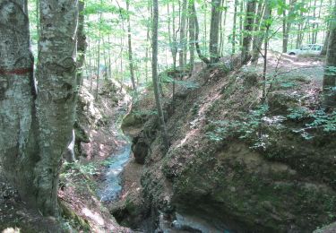 Tour Zu Fuß Băile Olănești - Băile Olănești - Plaiul Piatra Tăiată - Șaua Prislopel - Șaua La Lac - Șaua Hădărău - Vârful Căprăreasa - Vârful Gera - Photo