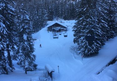 Tocht Sneeuwschoenen Orsières - Champex Lac - La Breya - Champex Lac - Photo
