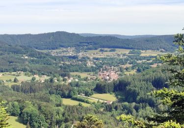 Trail Horseback riding Le Tholy - 2022-06-02 Rando CVA Le Tholy Tête des Cuveaux - Photo